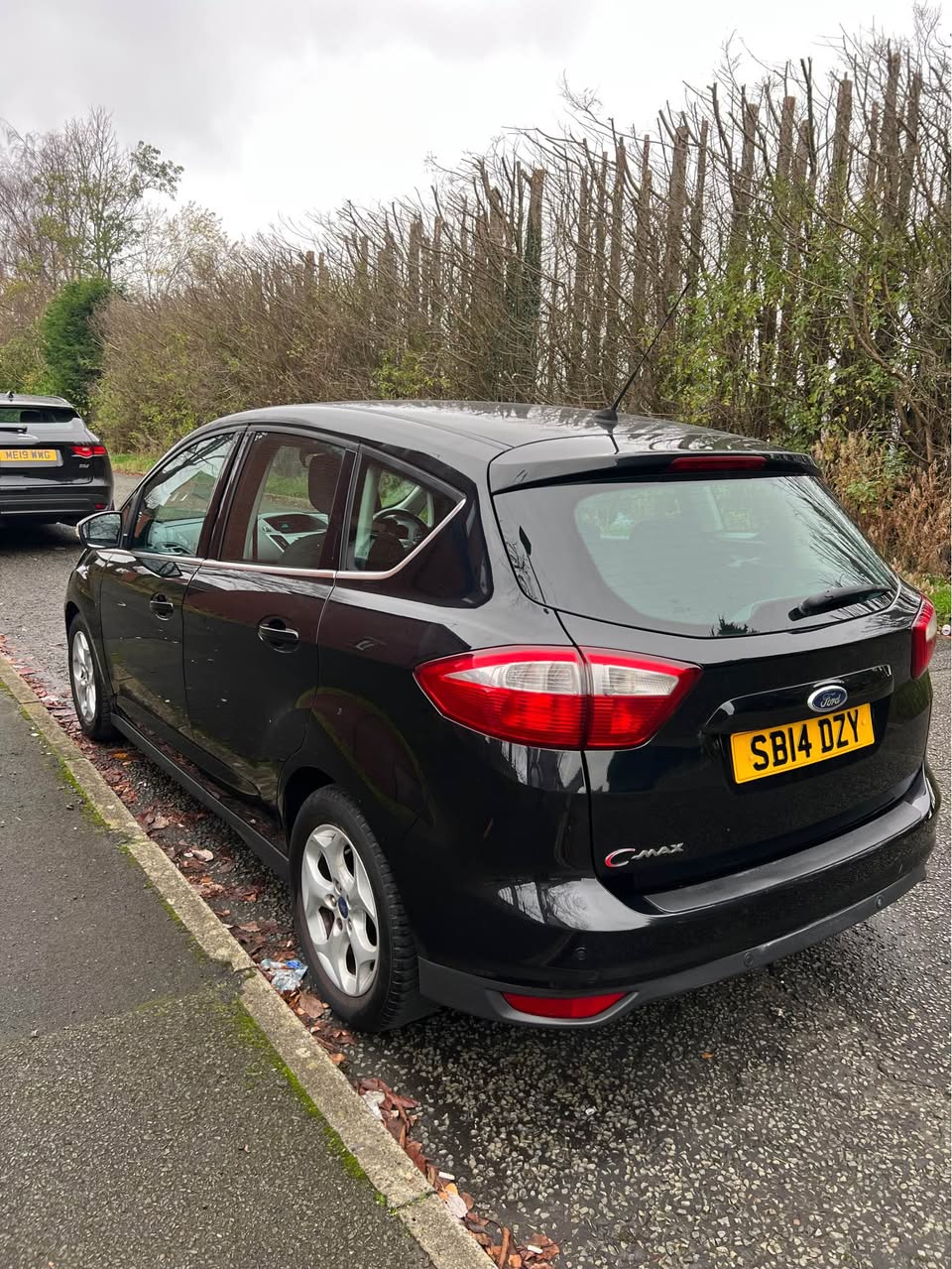 ford c max