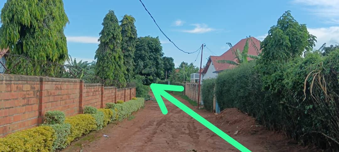 houses for sale