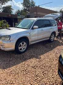 A picture of Subaru