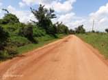 A picture of Plots on sale located at matugga gombe along matugga semuto