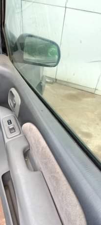 A picture of Sienna For Sale
