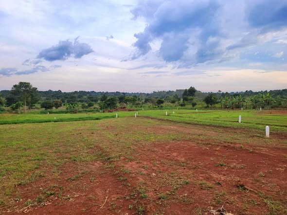 plots gayaza