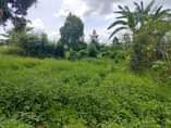 A picture of 100 Acres available for sale in Butambala gomba 8m per