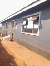 stands