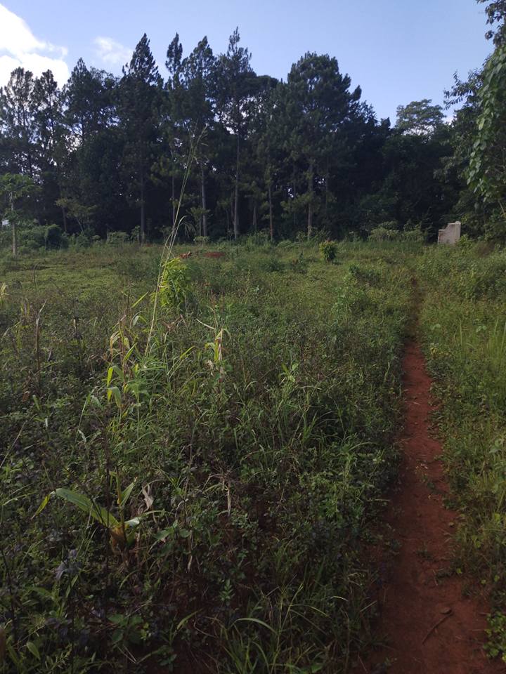 A picture of 3 plots of 50by100ft on quick sale by owner with