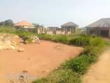 A picture of Nice plot for sale Price 8millions