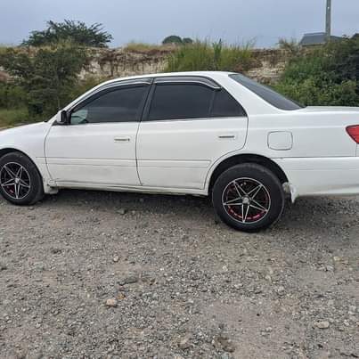A picture of Carina TI on sale 0768718127