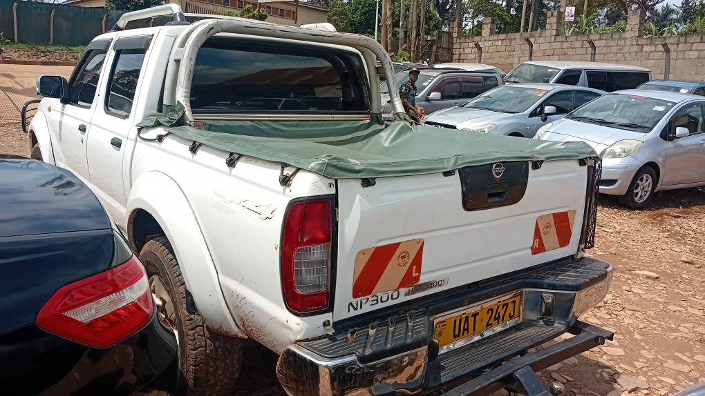 A picture of Nissan hard body