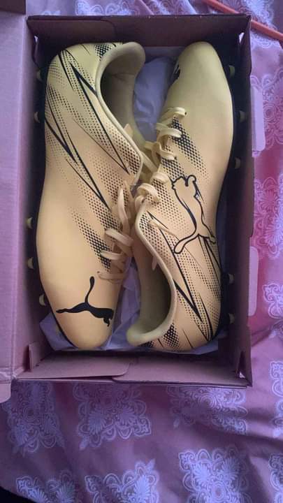puma