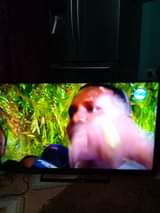 A picture of Panasonic Viera Smart full Hd tv inch 55
