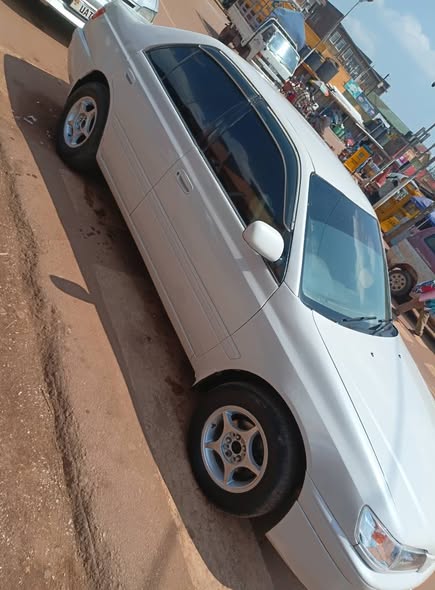 A picture of Toyota premio