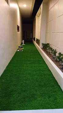 A picture of Artificial Grass