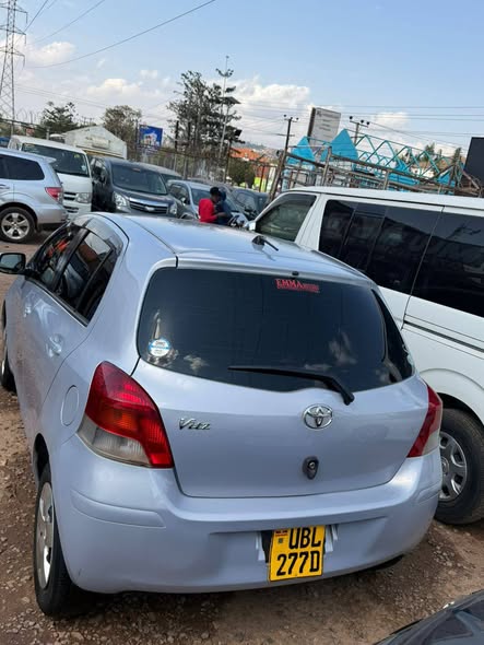 A picture of Vitz