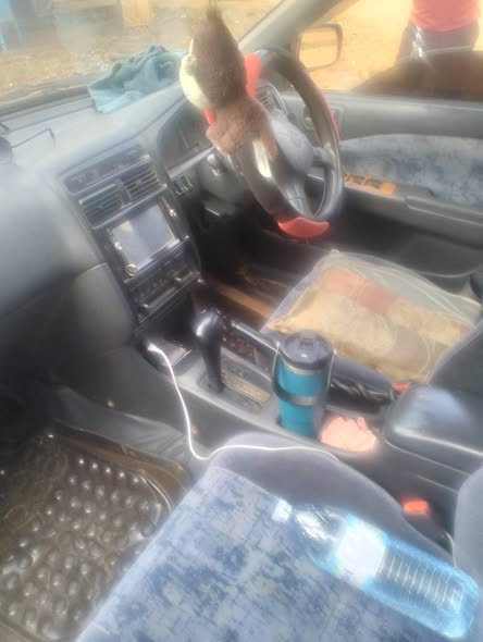 A picture of Toyota premio