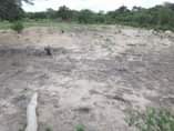 A picture of SHAMBA HEKA 10 TSH 3 000 000 LOCATION MZENGA ZEGERO