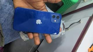 A picture of iPhone 12