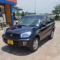 A picture of Rav4 killtime