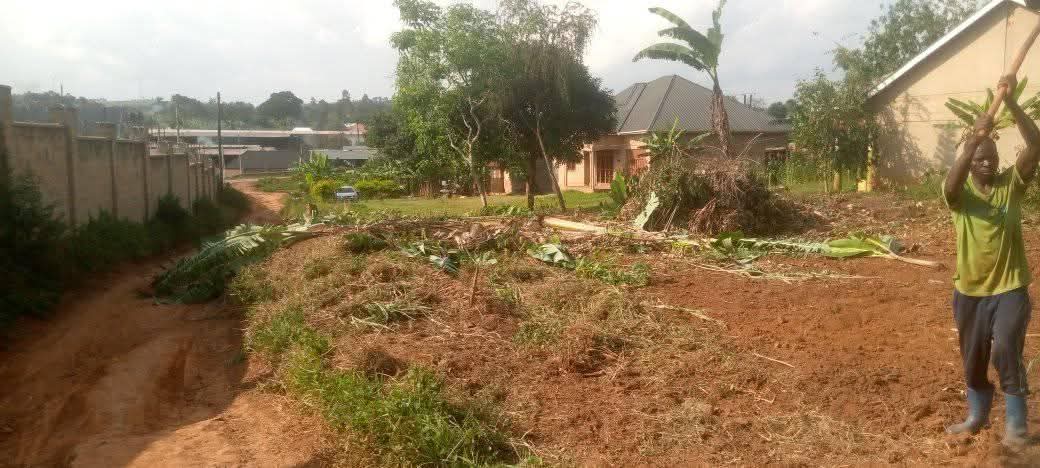A picture of Plot in kikandwa near the plywood factory