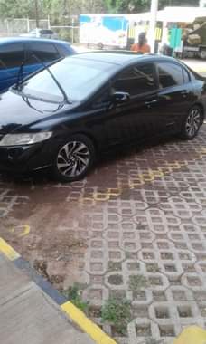 car shocks