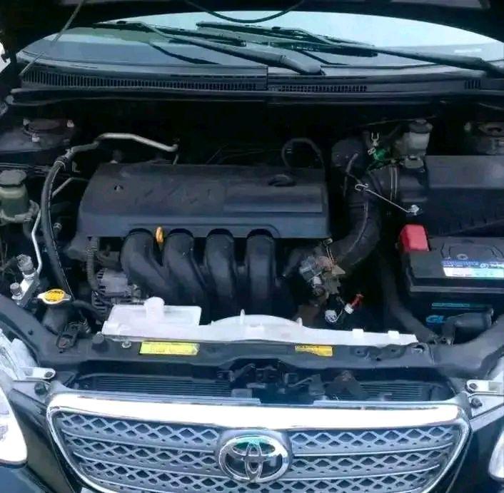 A picture of Toyota Corolla 2010 model