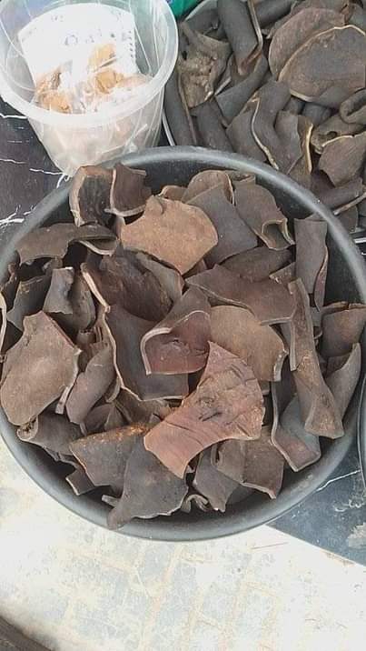A picture of PONMO IJEBU AND KULIKULI