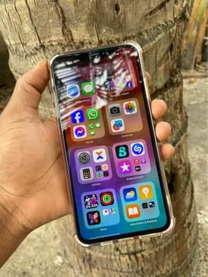A picture of iPhone XS Max