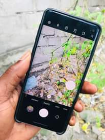 A picture of Samsung s10