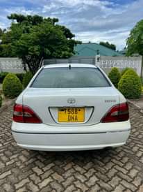 A picture of Brevis for sale call 0657633355