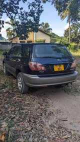 A picture of harrier harrier old 0627544832