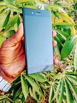 sony xperia