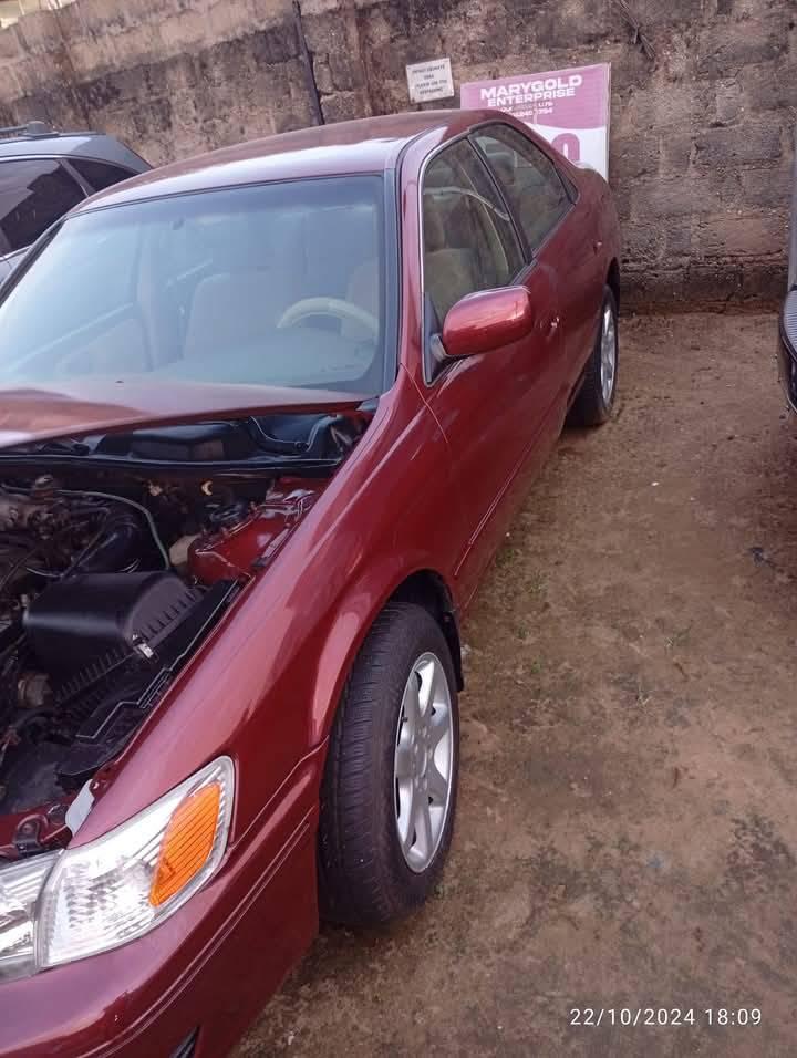 A picture of Toyota Camry Droplight