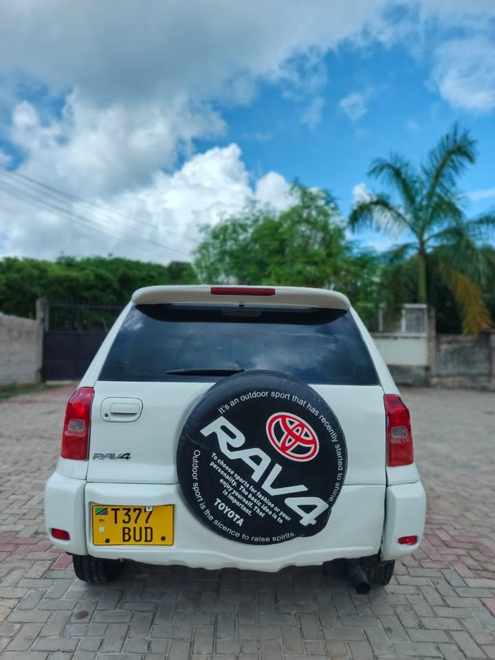 A picture of 2002 Toyota rav4