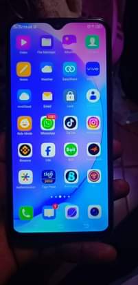 A picture of Vivo Y17 smartphone