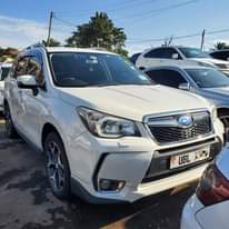 A picture of FORESTER XT 2013 43M