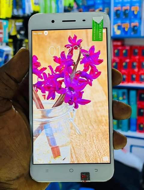 vivo phones