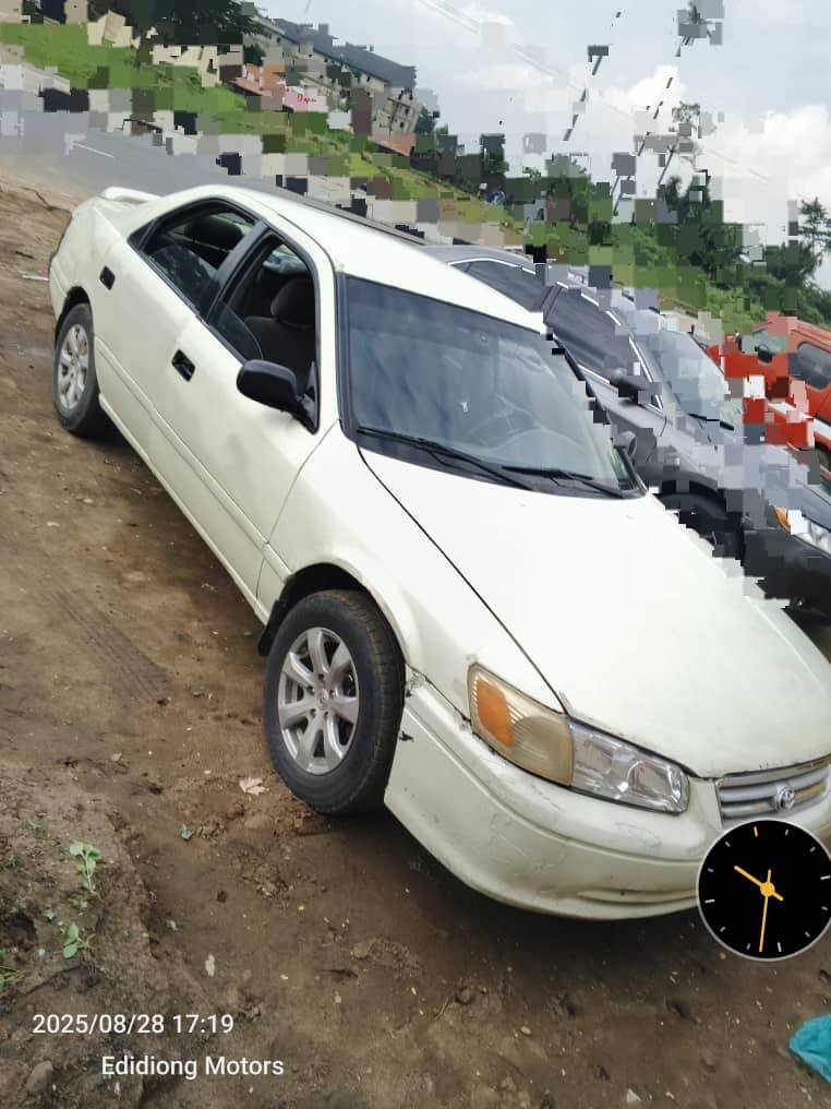 A picture of Camry Drop Light