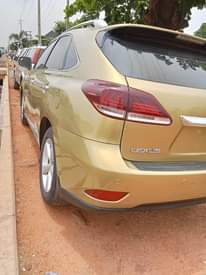 A picture of RX350 2010 First Body