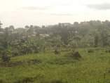 A picture of Bombo Kalure Town View Site 1 7km IDD special Get