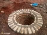 A picture of Tussima amazzi