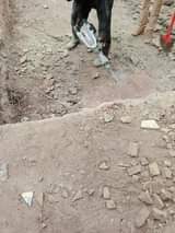 property donholm