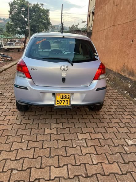 A picture of Vitz