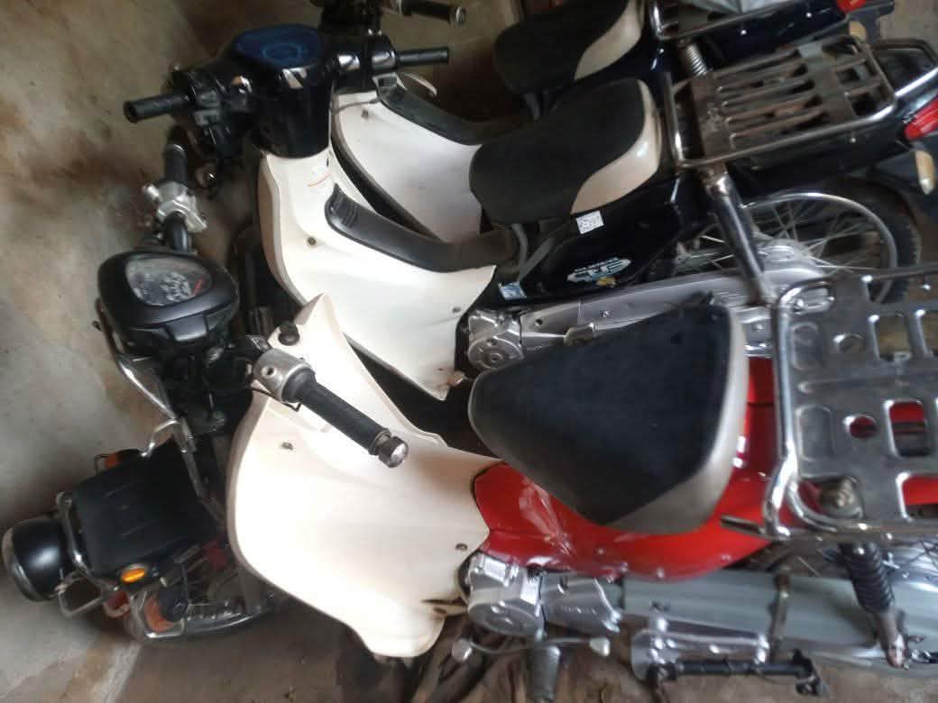 A picture of 2025 Honda cub