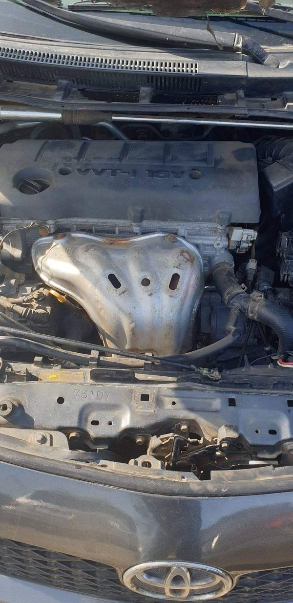 A picture of 2008 Corolla toyota