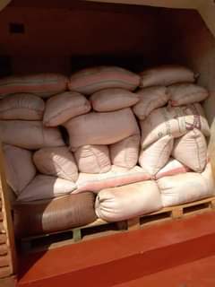 maize