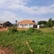 A picture of NKOWE WAKISO TOWN 50BY100 WITH READY LAND TITLE AT 25M