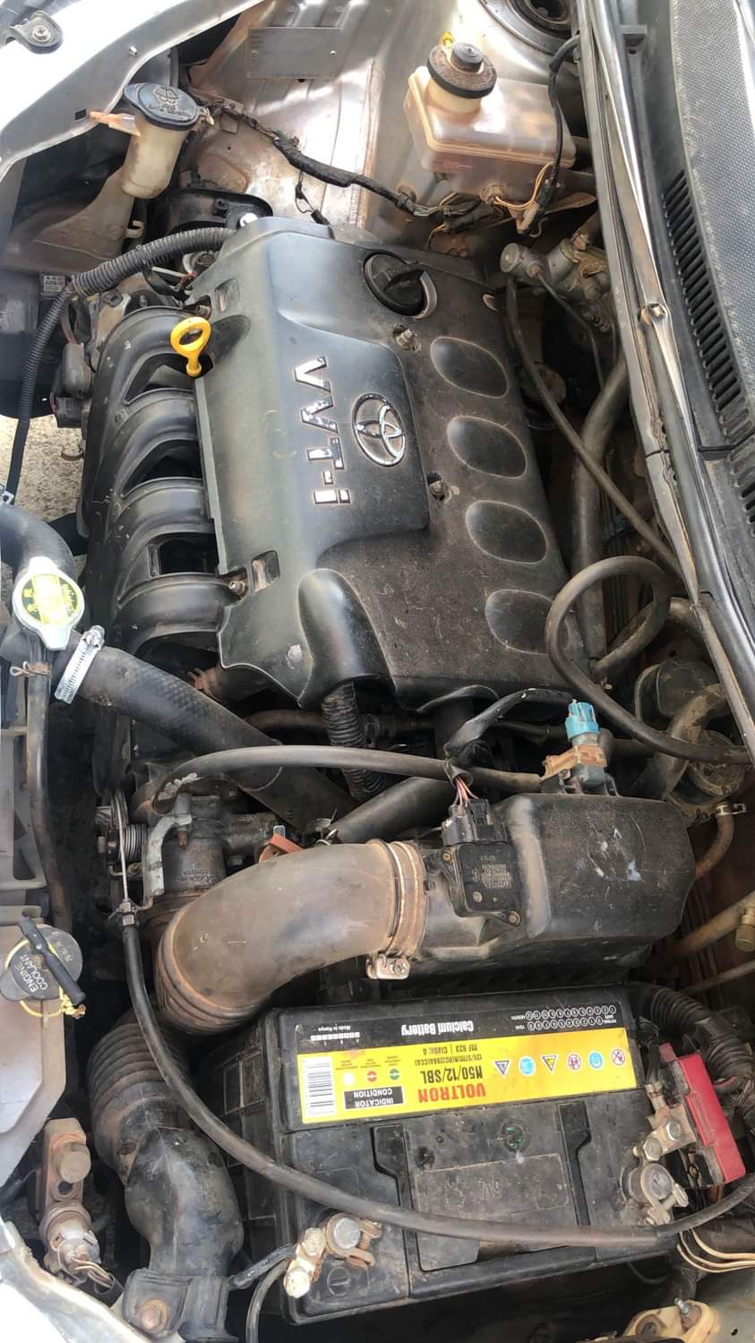 used toyota ist