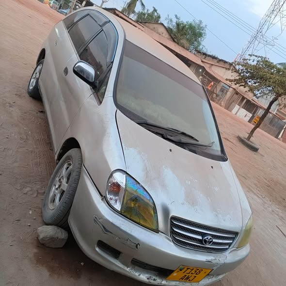 A picture of Toyota Nadia