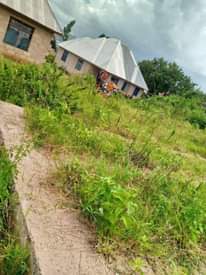 A picture of Mwanza Mkolani kiwanja kinauzwa