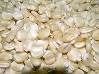 maize