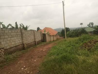 houses matugga